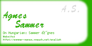 agnes sammer business card